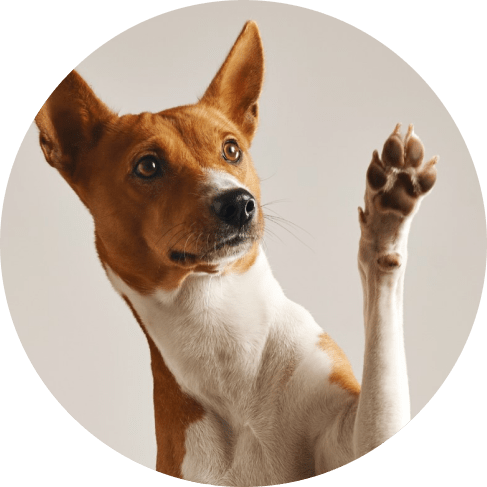 Mask Gro.лтбь томюлup-min