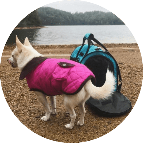 Mask Gl;pppproup-min